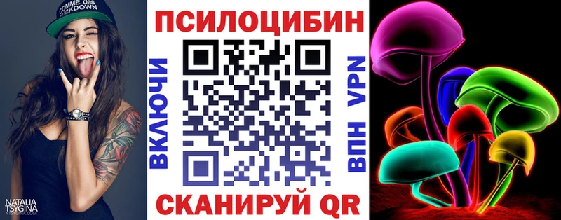 закладки Саяногорск Галлюциногенные грибы Psilocybe